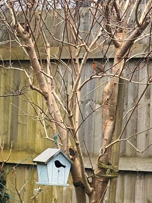 Photo 18- click for photo gallery